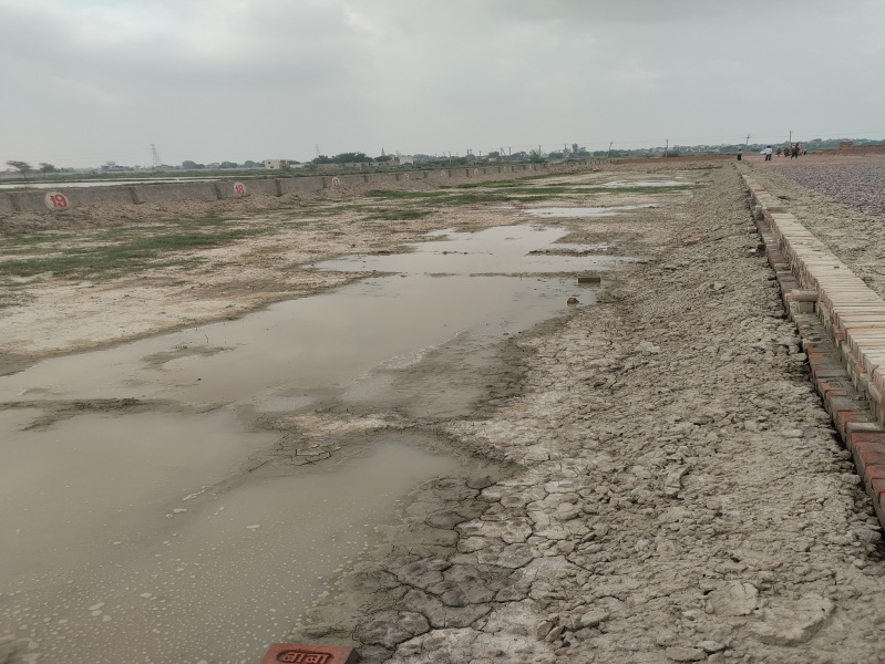  100 Sq.ft. Residential Plot for Sale in Noida-Greater Noida Expressway