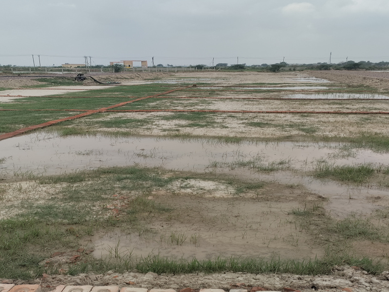  100 Sq.ft. Residential Plot for Sale in Noida-Greater Noida Expressway