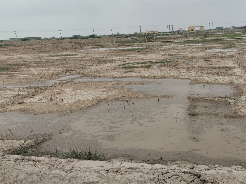  100 Sq.ft. Residential Plot for Sale in Noida-Greater Noida Expressway