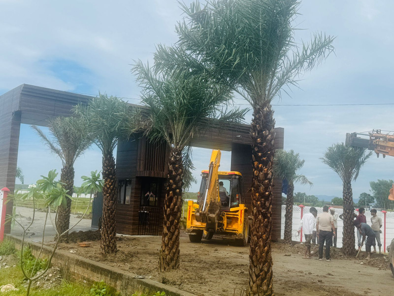  1250 Sq.ft. Residential Plot for Sale in Ramnagar, Nainital