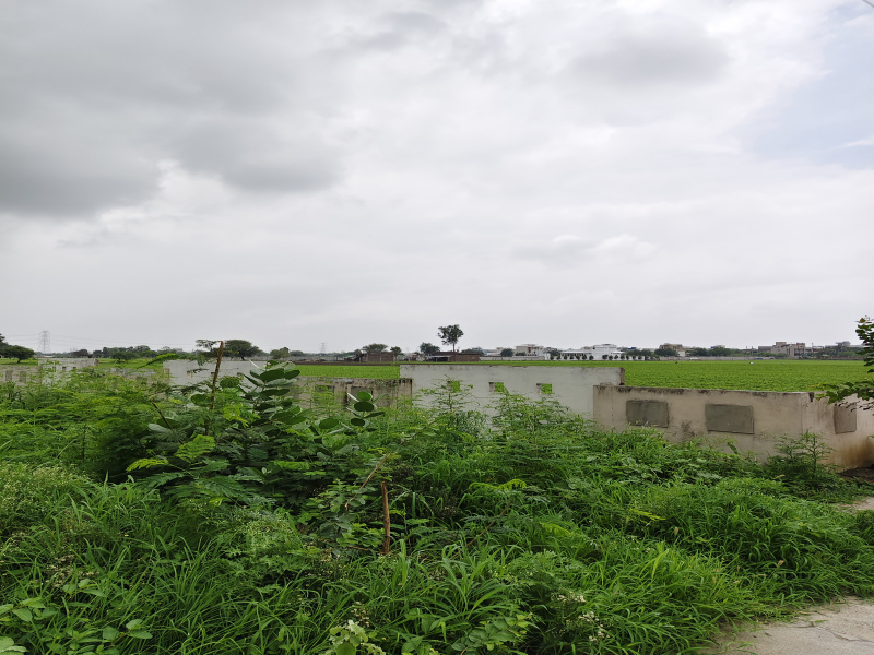  Residential Plot 1802 Sq.ft. for Sale in By Pass Road, Indore