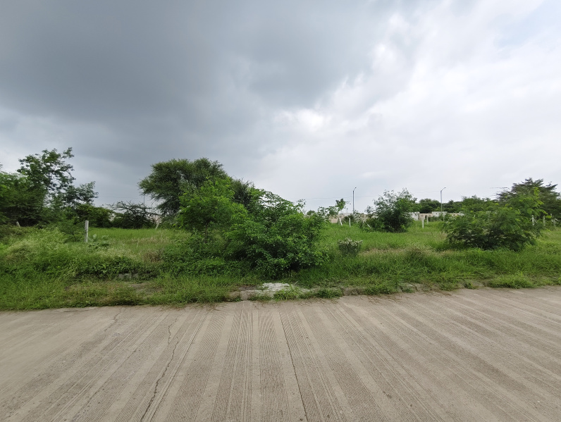  Residential Plot 1500 Sq.ft. for Sale in By Pass Road, Indore