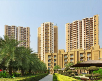 3 BHK Flat for Sale in Sector 137 Noida