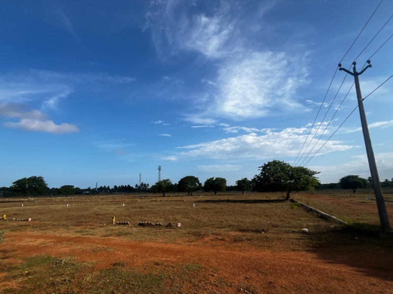  Residential Plot 1200 Sq.ft. for Sale in Peravurani, Thanjavur