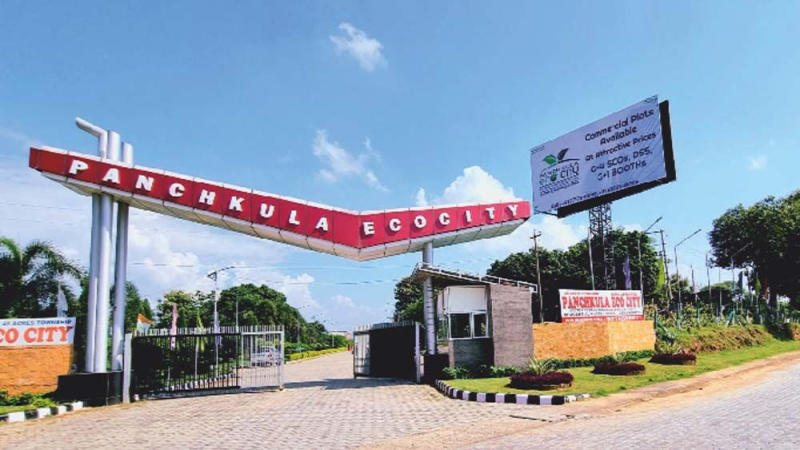  1000 Sq. Yards Residential Plot for Sale in Sector 12 Panchkula