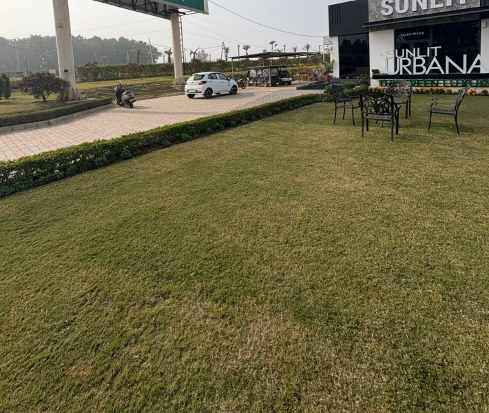  174 Sq. Yards Residential Plot for Sale in Sector 16 Panchkula