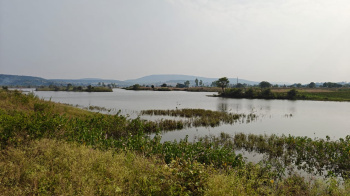 Agricultural Land for Sale in Maheshwar, Khargone