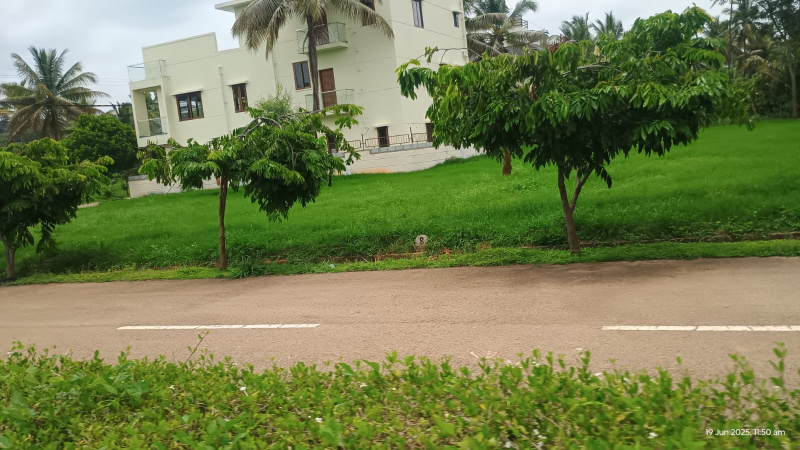  Residential Plot 1500 Sq.ft. for Sale in Bidadi, Bangalore