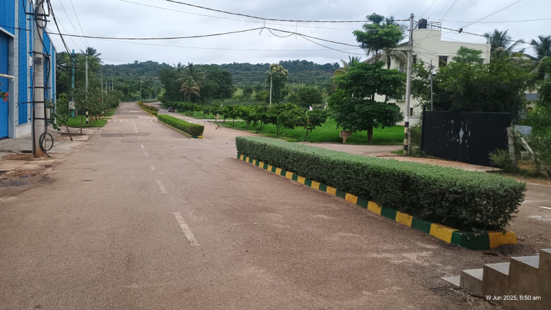  Residential Plot 1500 Sq.ft. for Sale in Bidadi, Bangalore