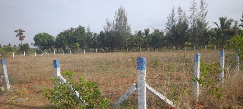 Residential Plot 4750 Sq.ft. for Sale in Annur, Coimbatore