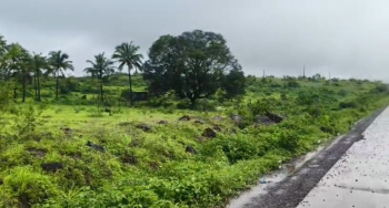  Agricultural Land for Sale in Nivali, Ratnagiri