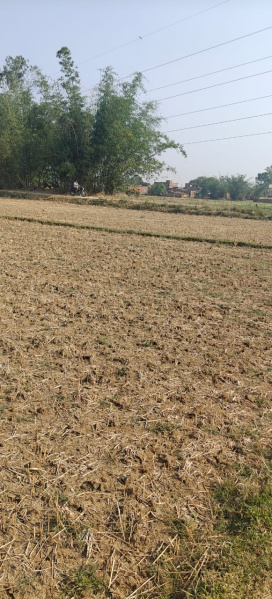  Agricultural Land 13 Biswa for Sale in Kachhwa, Mirzapur-cum-Vindhyachal