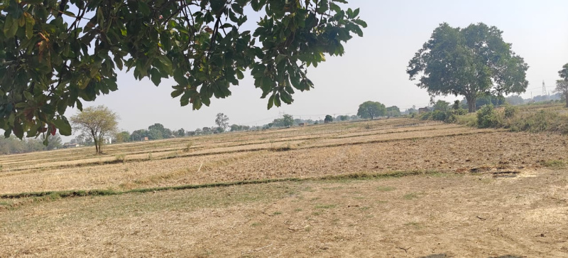 Agricultural Land 13 Biswa for Sale in Kachhwa, Mirzapur-cum-Vindhyachal