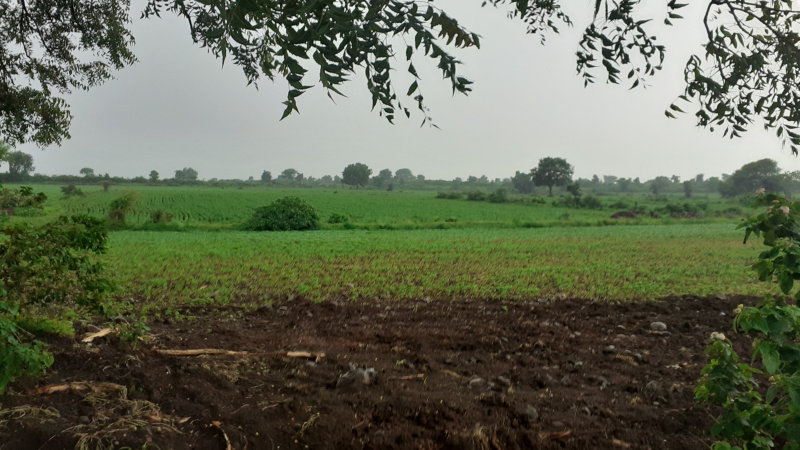 3 BHK Farm House 5000 Sq.ft. for Sale in Indira Nagar, Ujjain