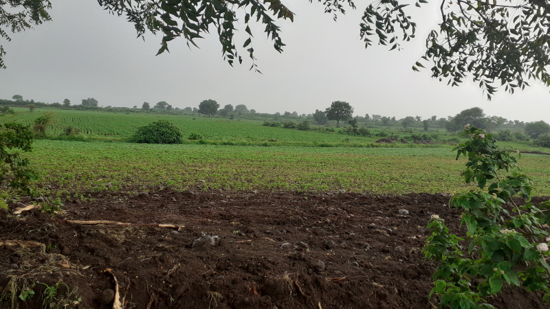 3 BHK Farm House 5000 Sq.ft. for Sale in Indira Nagar, Ujjain