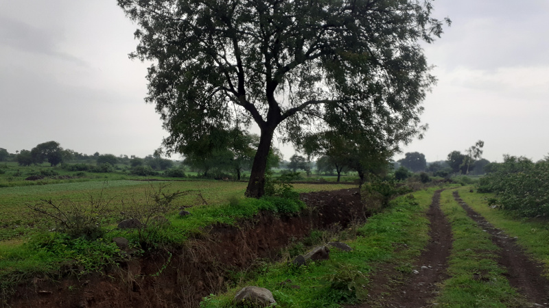 3 BHK Farm House 5000 Sq.ft. for Sale in Indira Nagar, Ujjain