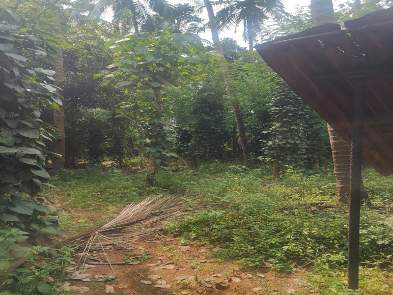 3 BHK 2500 Sq.ft. House for Sale in Wadakkanchery, Thrissur