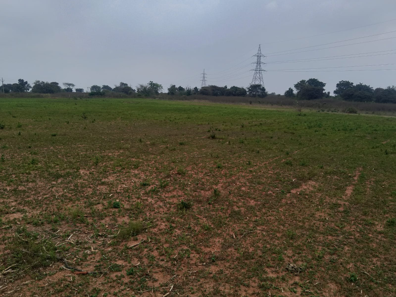  Residential Plot 1 Acre for Sale in Karimnagar, Siddipet