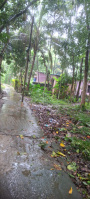  Residential Plot for Sale in Kalyani, Nadia