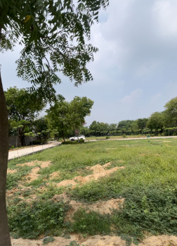  Agricultural Land for Sale in Fatehpur Taga, Faridabad