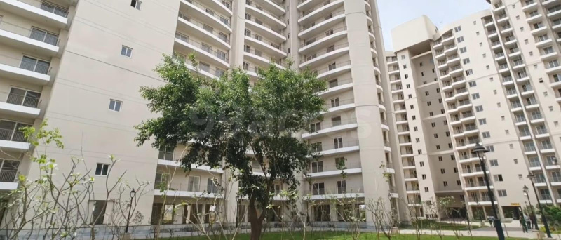 3 BHK Builder Floor 1572 Sq.ft. for Sale in Sector 80 Faridabad