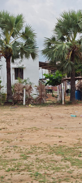  Residential Plot 10 Cent for Sale in Palayamkottai, Tirunelveli
