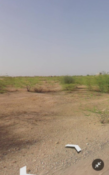 Agricultural Land for Sale in Kolayat, Bikaner
