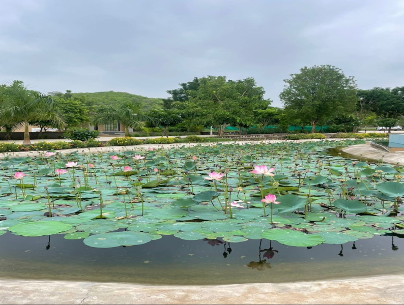 Residential Plot 4275 Sq.ft. for Sale in Himatnagar, Sabarkantha