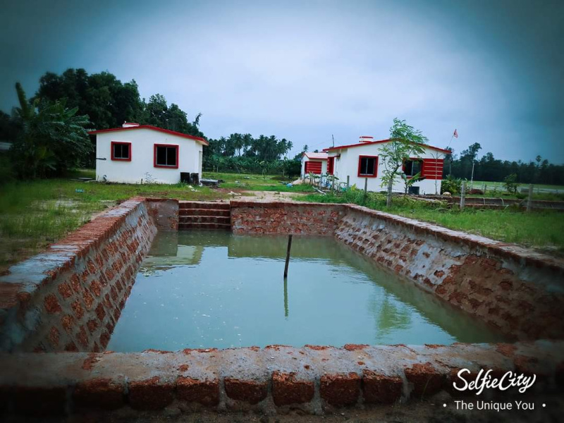 1 RK Farm House 500 Sq.ft. for Sale in Sakhigopal, Puri