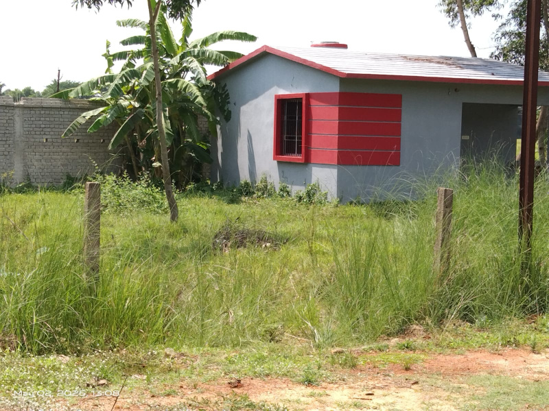 1 RK Farm House 500 Sq.ft. for Sale in Sakhigopal, Puri