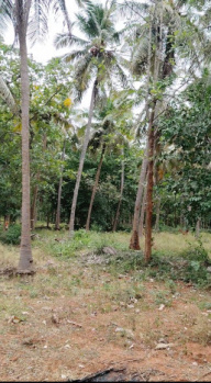  Agricultural Land for Sale in Trichy Highways, Tiruchirappalli