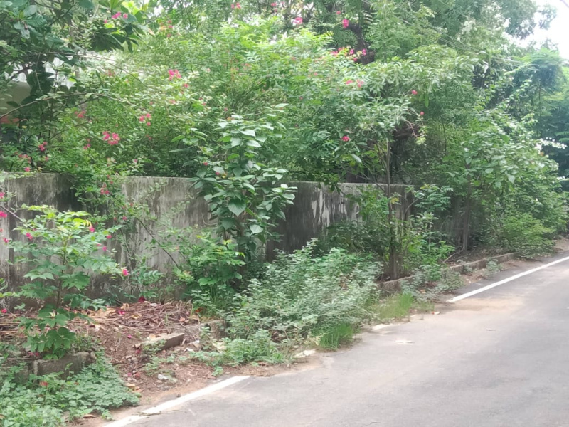  Residential Plot 12000 Sq.ft. for Sale in Injambakkam, Chennai