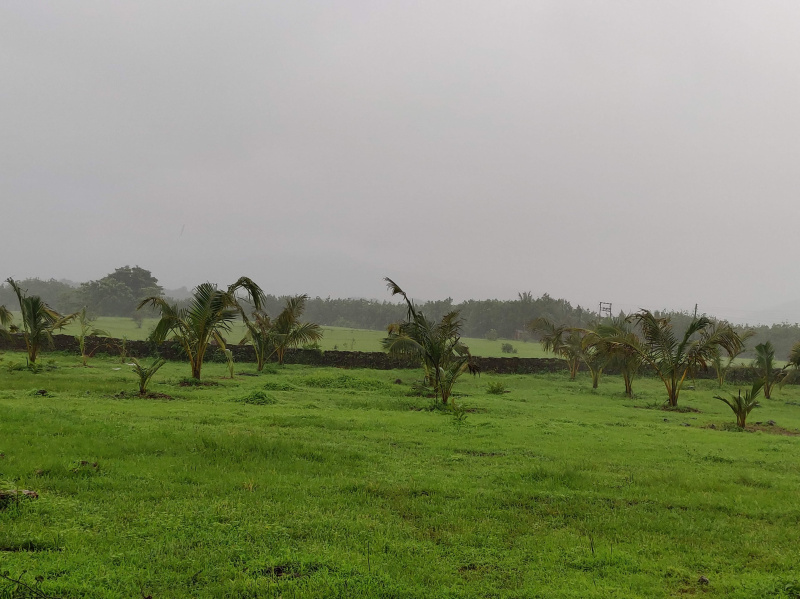 3 BHK Farm House 2500 Sq.ft. for Sale in Kankavli, Sindhudurg