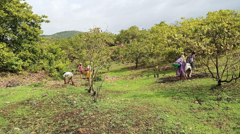  Residential Plot 25 Acre for Sale in Sawantwadi, Sindhudurg