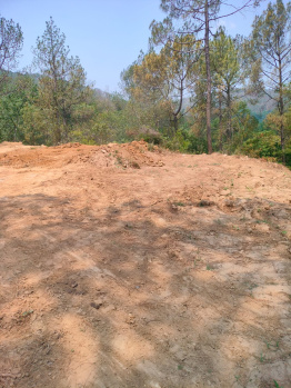  Residential Plot for Sale in Bhira, Hamirpur