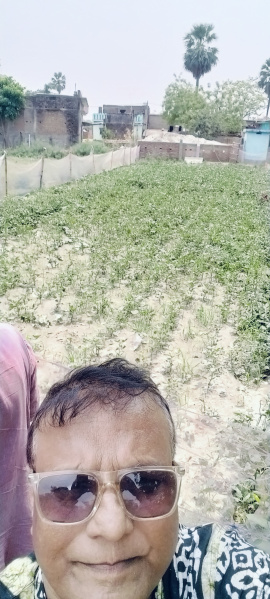  Agricultural Land 60 Bigha for Sale in Chapra, Saran