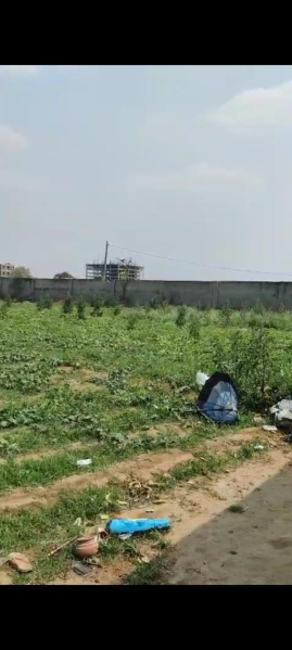  Guest House 713 Sq.ft. for Rent in Bahalgarh, Sonipat