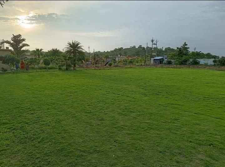  Agricultural Land 5000 Sq.ft. for Sale in Amravati Road, Nagpur