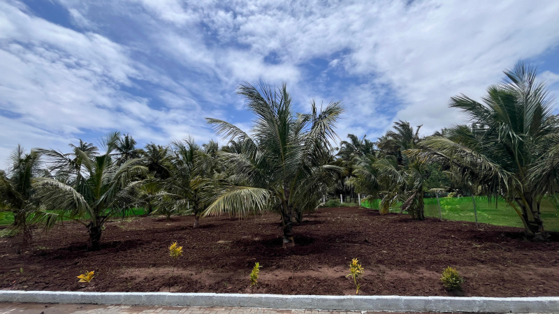  Residential Plot 22 Cent for Sale in Othakalmandapam, Coimbatore