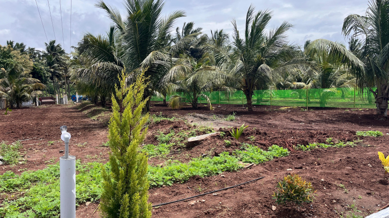  Residential Plot 22 Cent for Sale in Othakalmandapam, Coimbatore