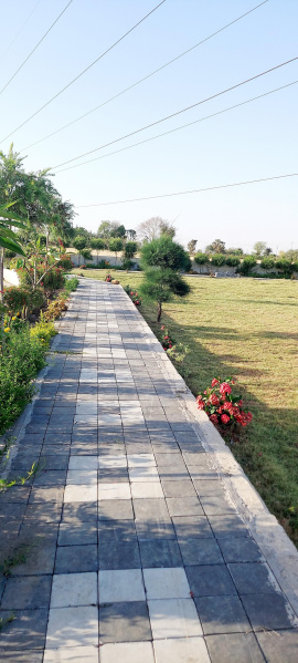  Residential Plot 1000 Sq.ft. for Sale in Ujjain Road, Indore
