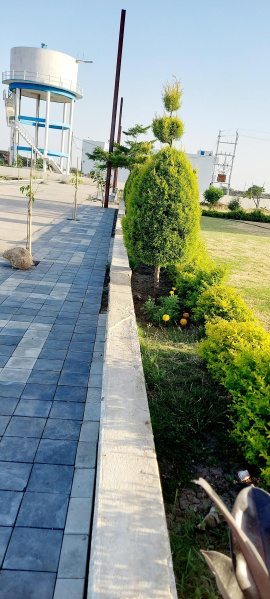  Residential Plot 1000 Sq.ft. for Sale in Ujjain Road, Indore