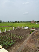  Residential Plot for Sale in Balwada, Khandwa