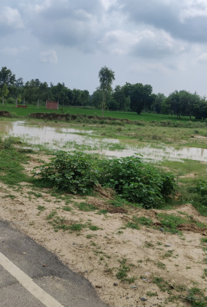  1000 Sq.ft. Residential Plot for Sale in Safedabad, Lucknow