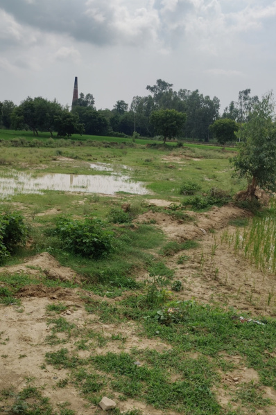  1000 Sq.ft. Residential Plot for Sale in Safedabad, Lucknow