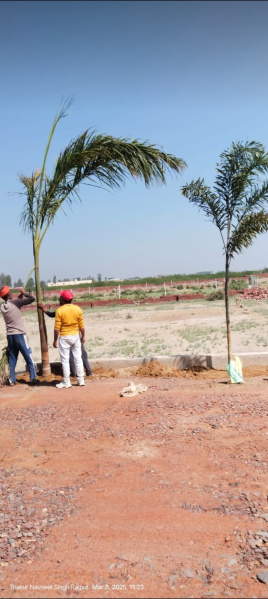 5 BHK House 100 Sq. Yards for Sale in Govardhan, Mathura