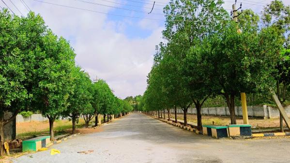  Residential Plot 1200 Sq.ft. for Sale in Whitefield, Bangalore