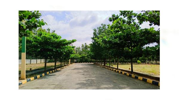  Residential Plot 1200 Sq.ft. for Sale in Whitefield, Bangalore