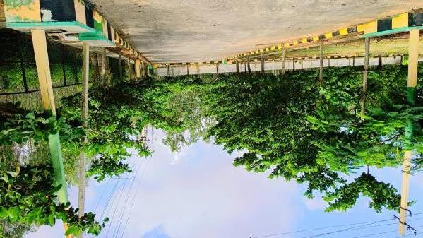  Residential Plot 1200 Sq.ft. for Sale in Whitefield, Bangalore