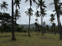  Agricultural Land for Sale in Tenkasi, Tirunelveli